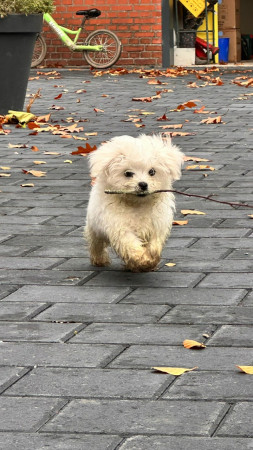 12-10-25 lekker buiten ravotten
